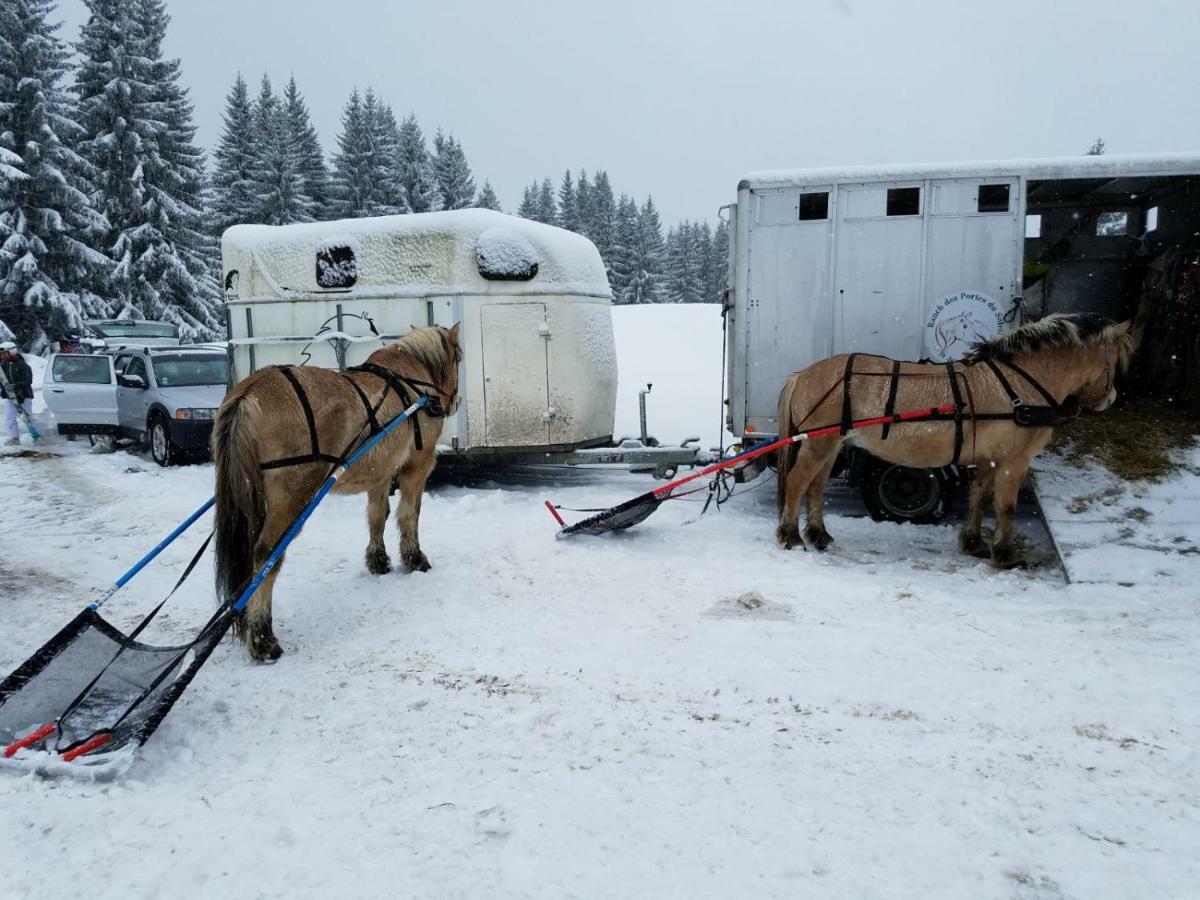 Praz-Du-Soleil F3 Apartman Les Gets Kültér fotó